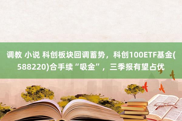 调教 小说 科创板块回调蓄势，科创100ETF基金(588220)合手续“吸金”，三季报有望占优