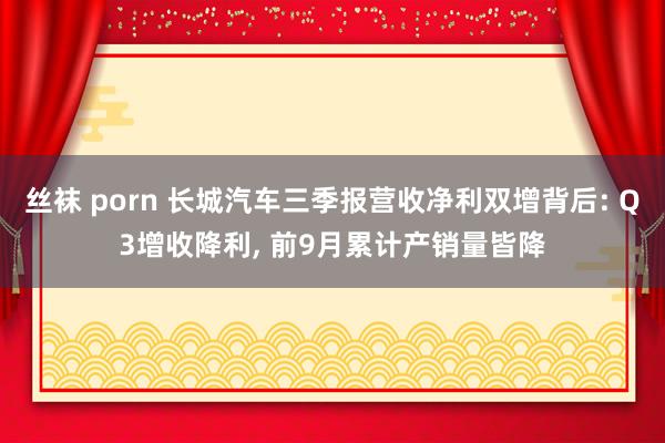 丝袜 porn 长城汽车三季报营收净利双增背后: Q3增收降利， 前9月累计产销量皆降