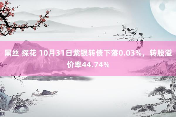 黑丝 探花 10月31日紫银转债下落0.03%，转股溢价率44.74%