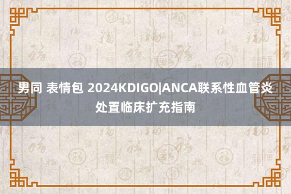 男同 表情包 2024KDIGO|ANCA联系性血管炎处置临床扩充指南