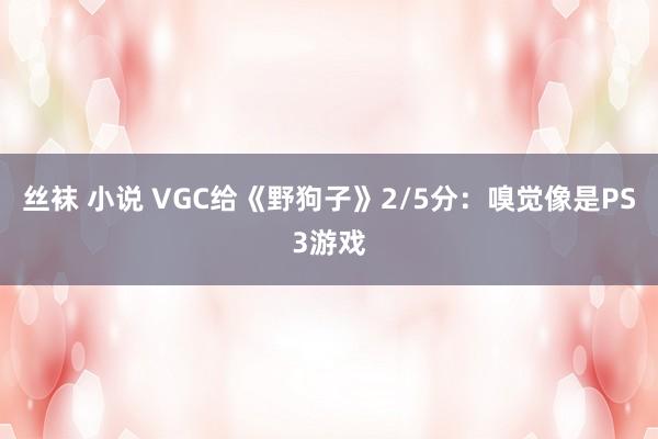 丝袜 小说 VGC给《野狗子》2/5分：嗅觉像是PS3游戏