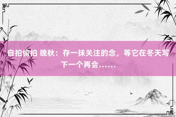 自拍偷拍 晚秋：存一抹关注的念，等它在冬天写下一个再会……