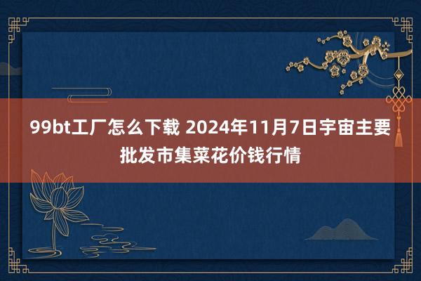 99bt工厂怎么下载 2024年11月7日宇宙主要批发市集菜花价钱行情